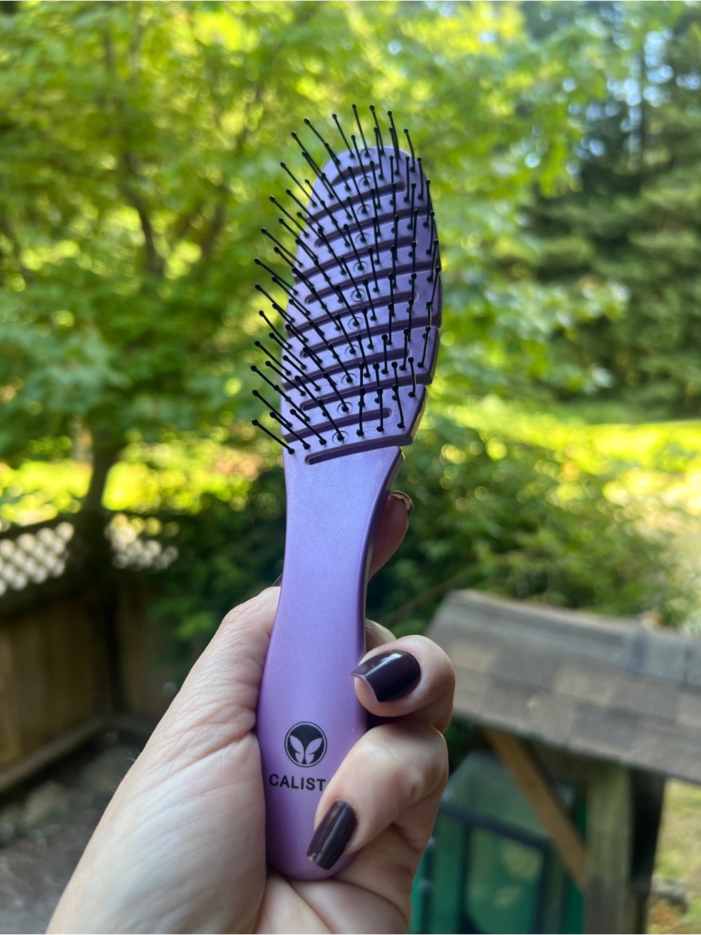 Calista Purple Detangling Hair Brush - Gentle Wet/Dry Brush